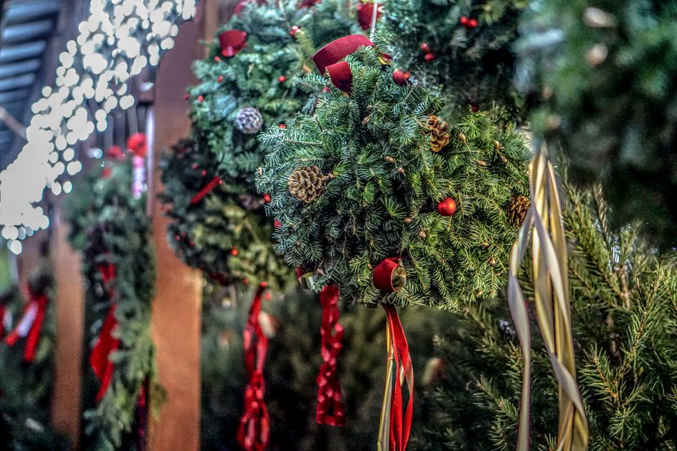 Christmas Tree Farms in the Berkshires Berkshires